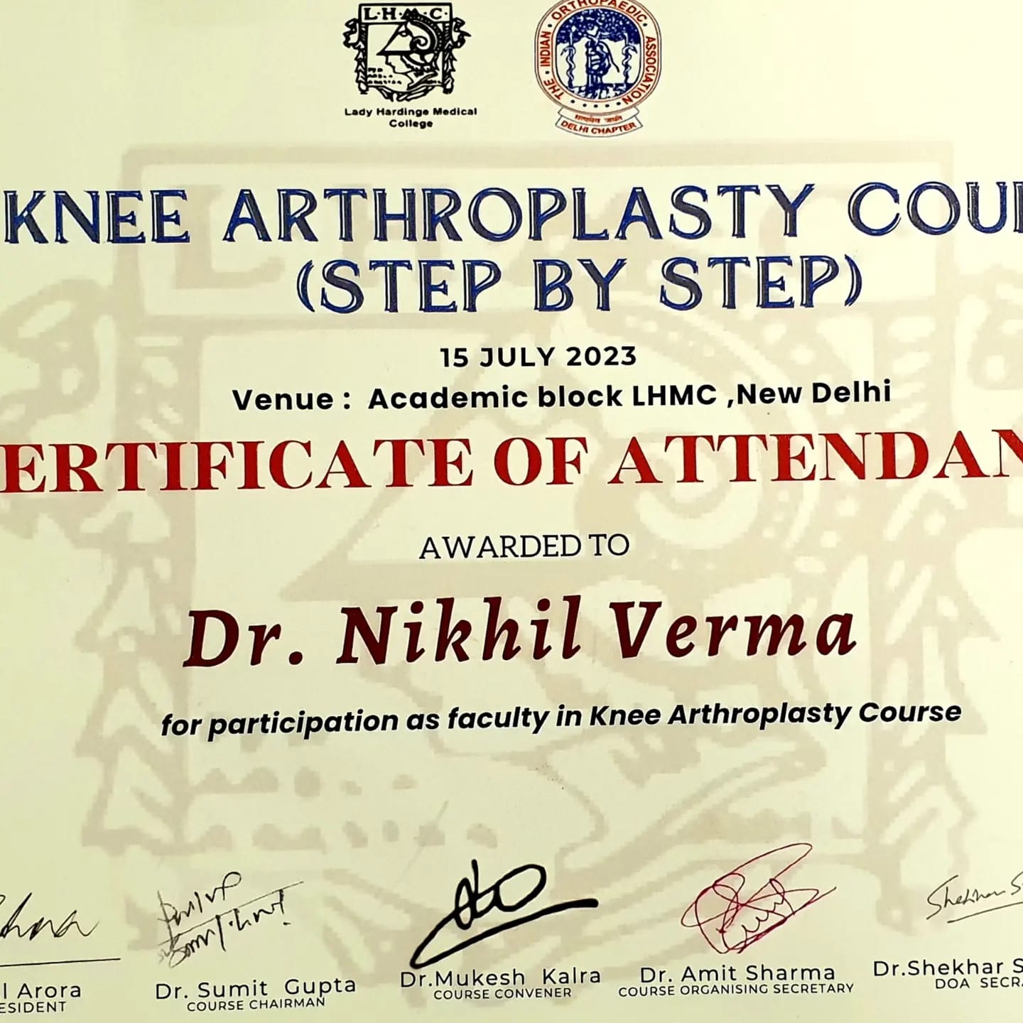 Knee Arthroplasty Saw Bone Course